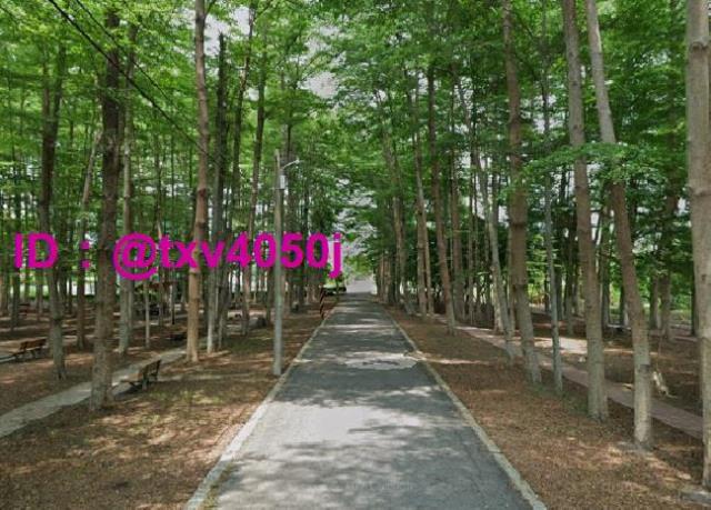 台南善化透天-3