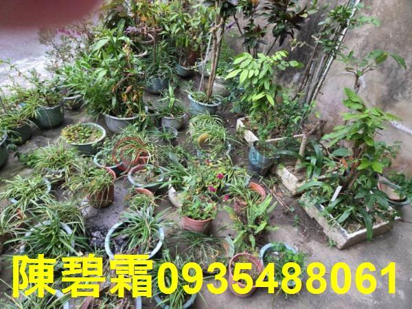 台南麻豆透天-2