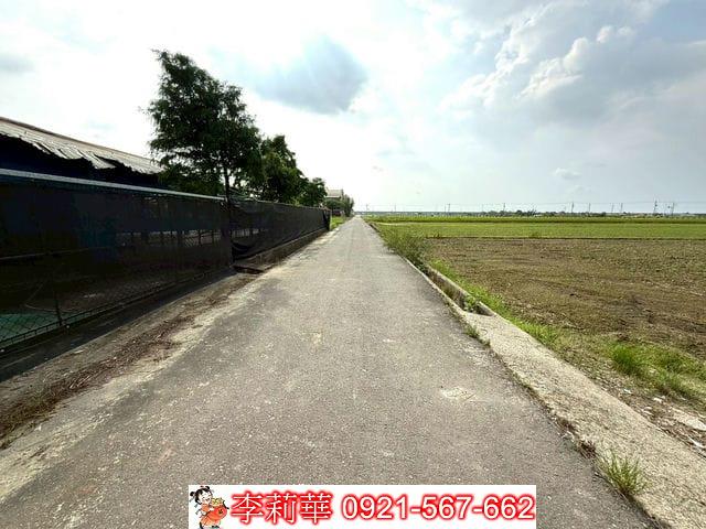 台南後壁畜牧場-3