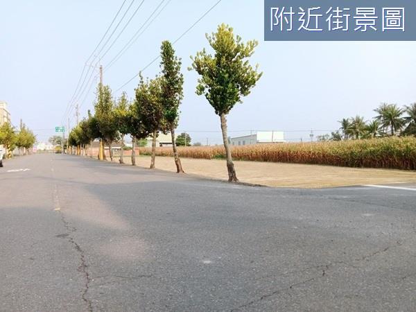 台南安定農地-6