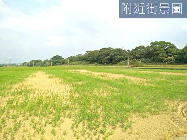 台南農地-3