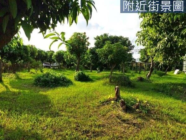 台南安南農地-4