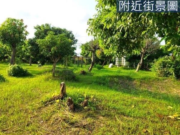 台南安南農地-5