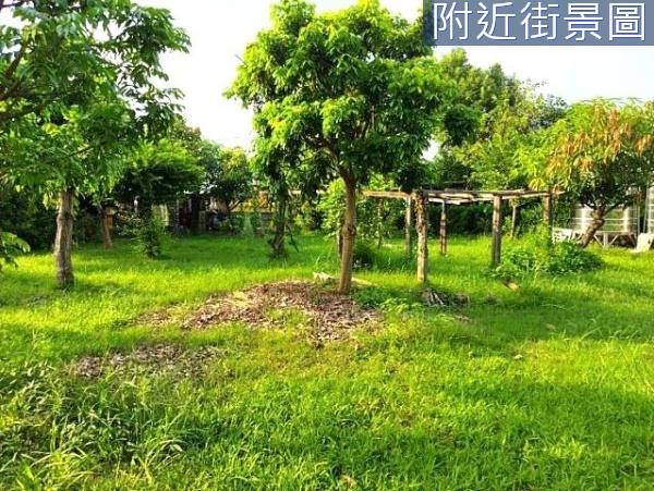 台南安南農地-8