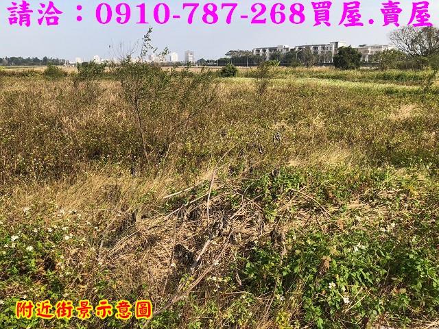 台南農地-9