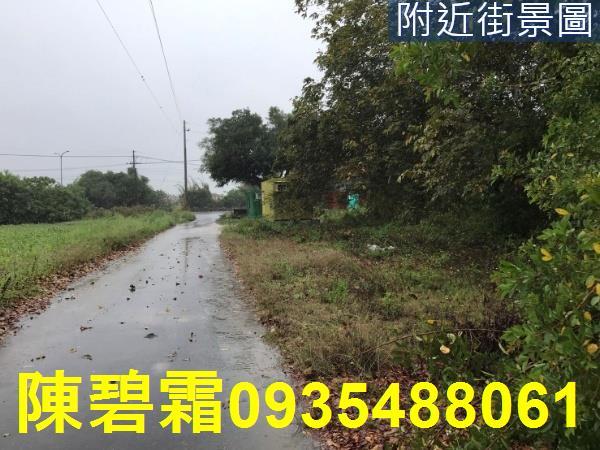 台南善化農地-5