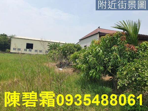 台南七股農地-4