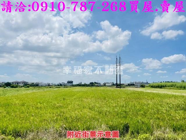 新市農地-8
