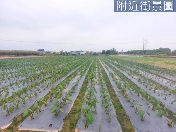 台南新市農地-4