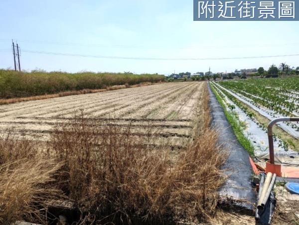 台南新市農地-8