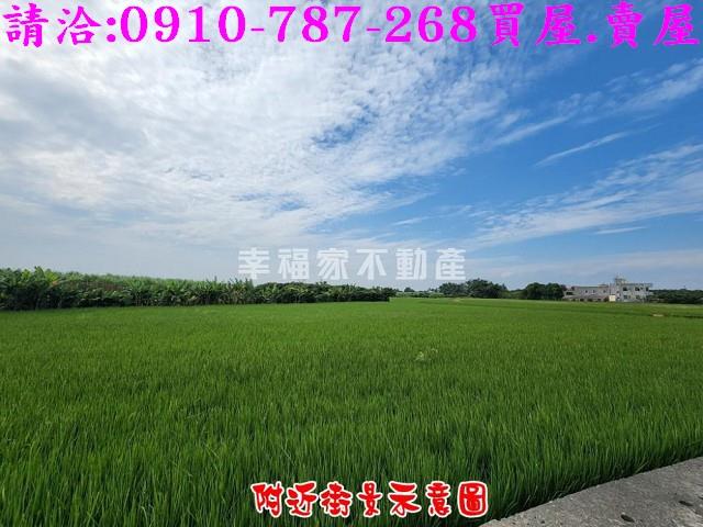 柳營農地-3