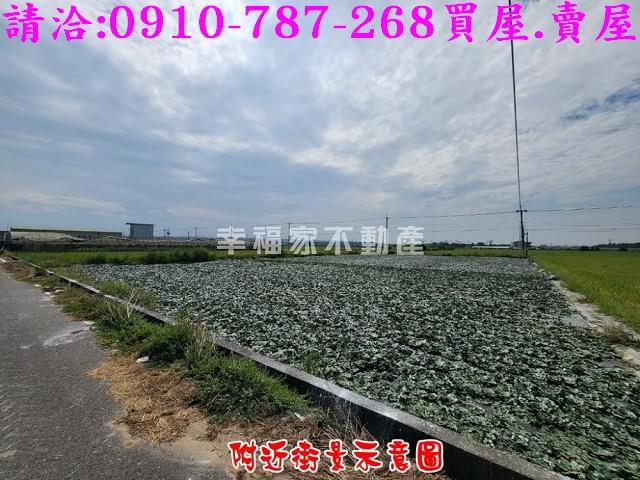 柳營農地-4