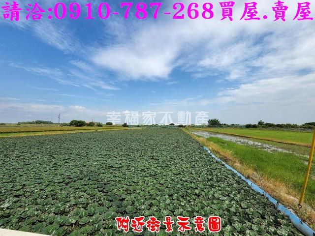 柳營農地-5