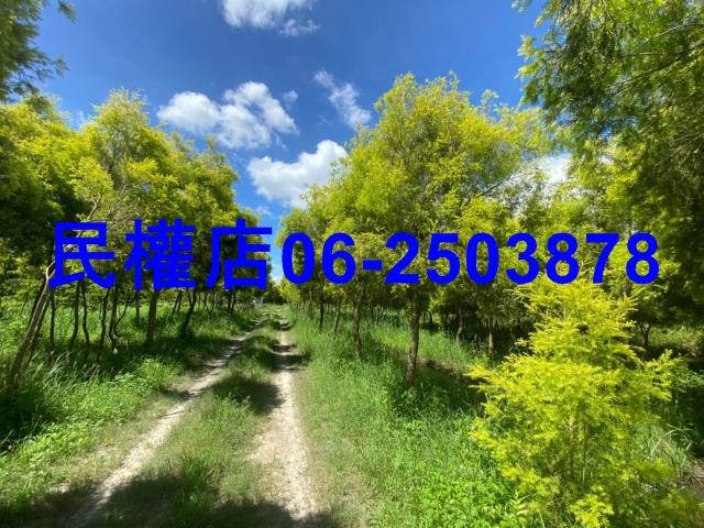 台南六甲農地-6