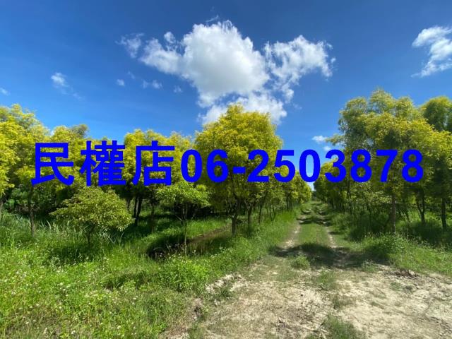 台南六甲農地-7