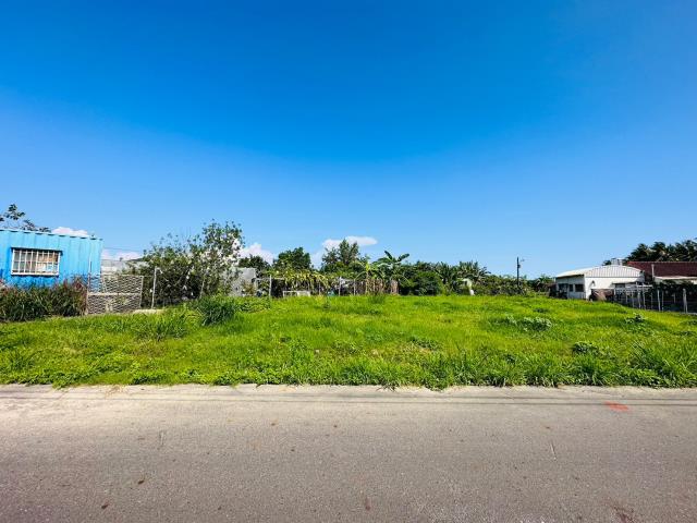 台南永康農地-11