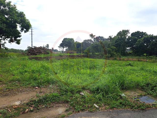 台南山上農地-3