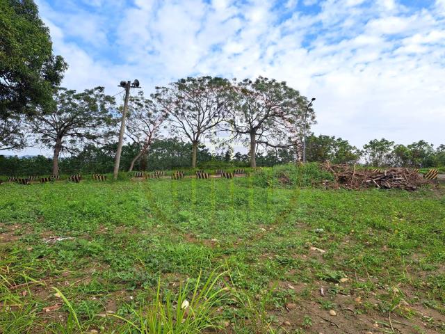 台南山上農地-4