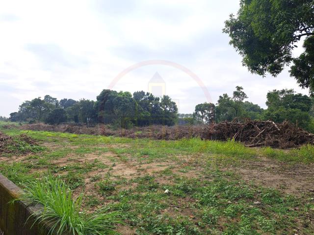 台南山上農地-6