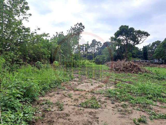 台南山上農地-8