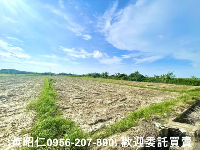 台南佳里農地-3
