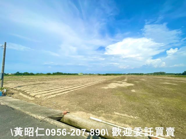 台南佳里農地-5