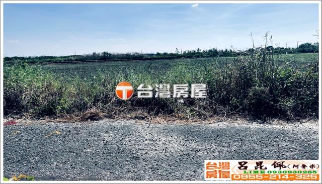 台南七股農地-2