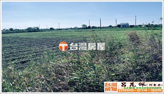 台南七股農地-3