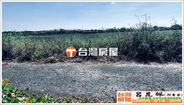 台南七股農地-4