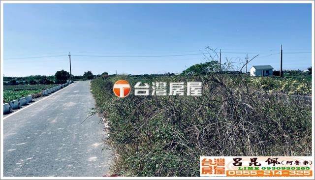 台南七股農地-5