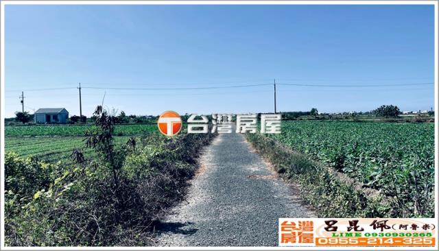 台南七股農地-6