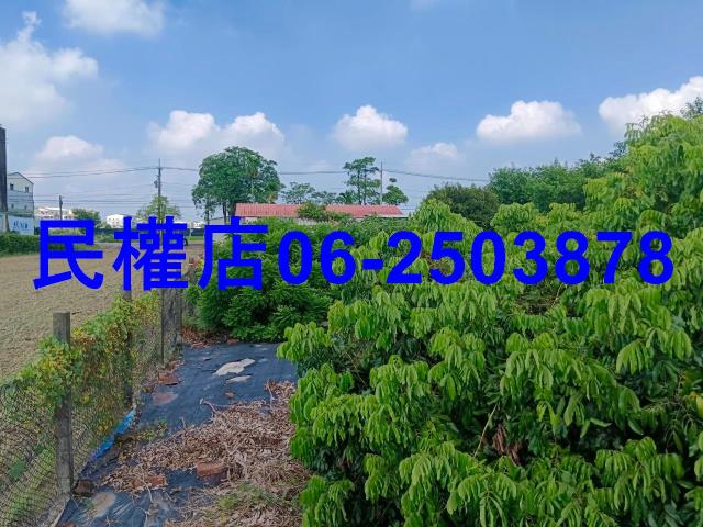 台南六甲農地-11