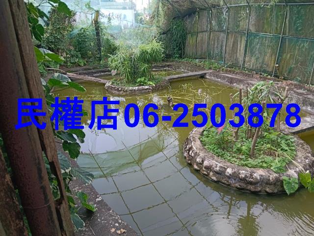 台南六甲農地-4