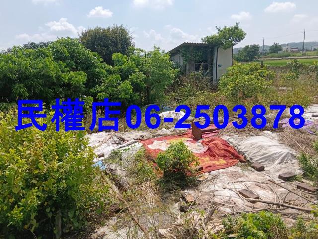 台南六甲農地-7