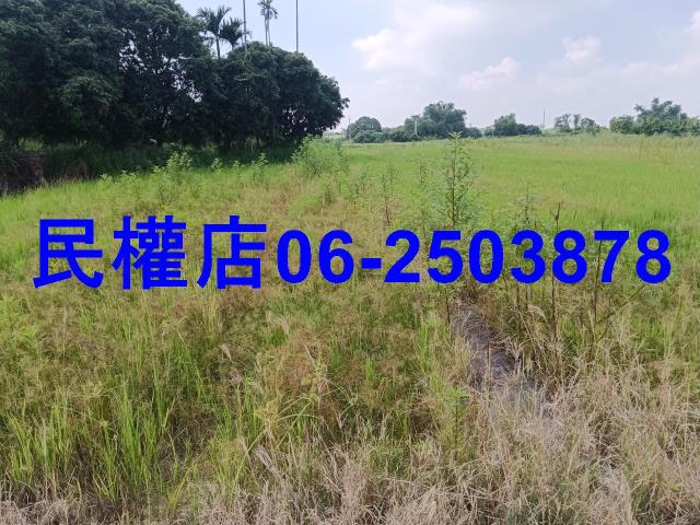 柳營農地-2
