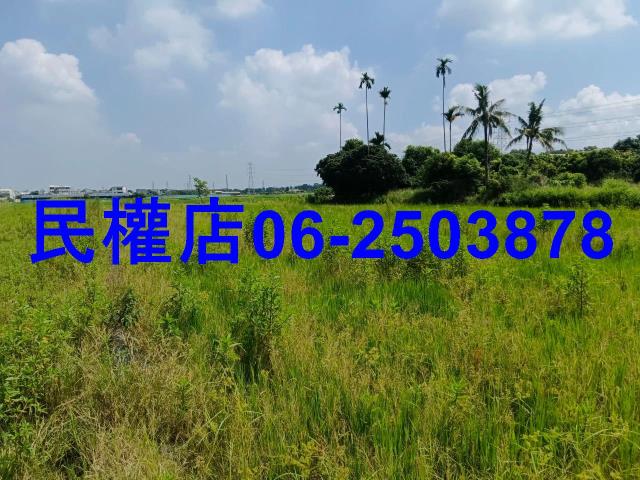 柳營農地-5