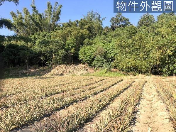 台南關廟農地-1