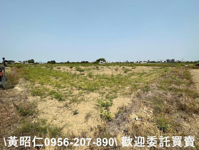 台南新市農地-1
