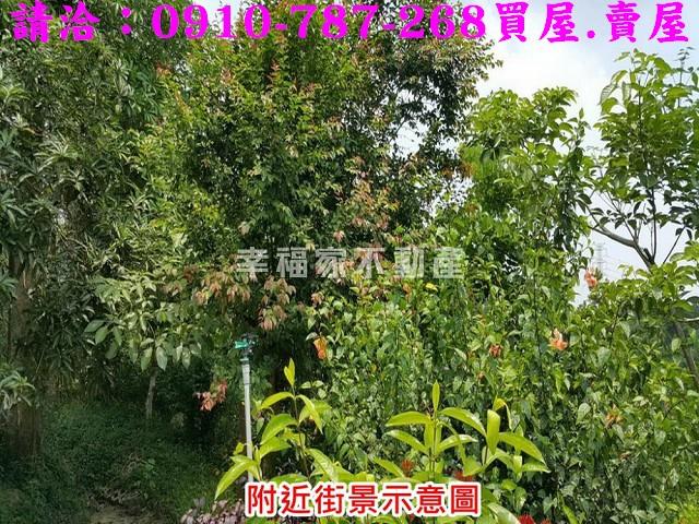 台南關廟農地-11