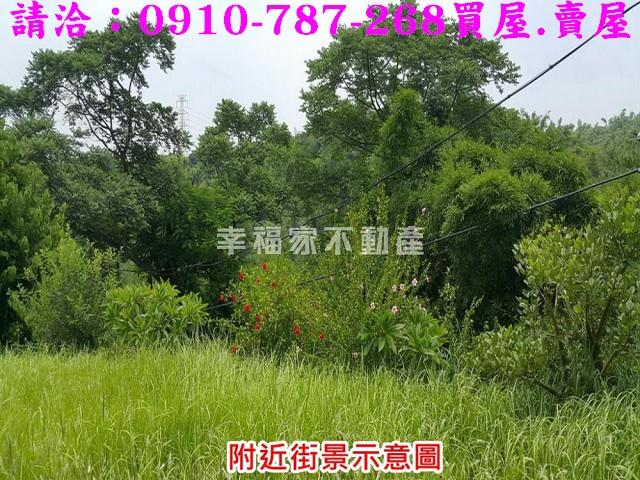 台南關廟農地-12