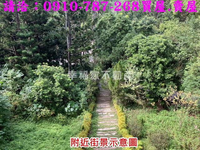 台南關廟農地-13