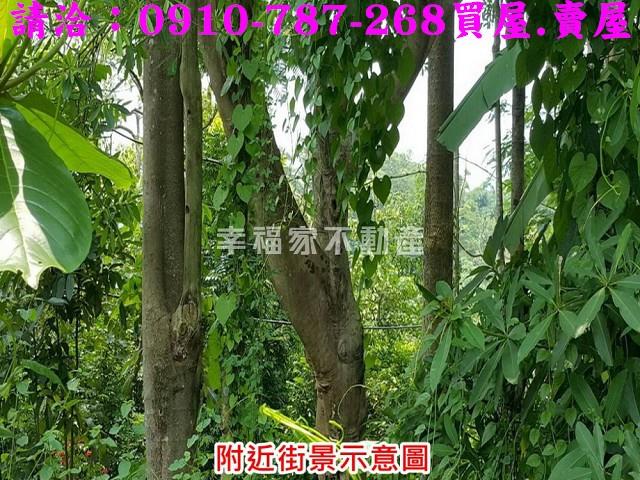 台南關廟農地-14