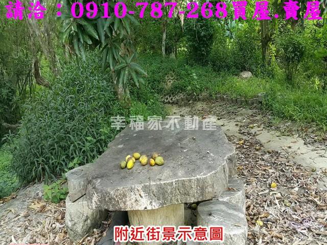 台南關廟農地-15