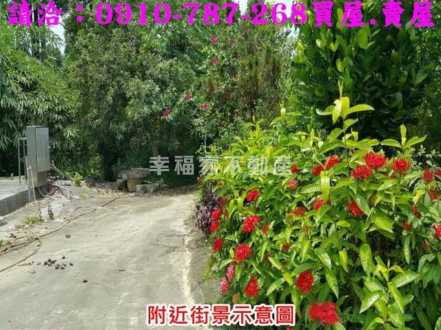 台南關廟農地-2