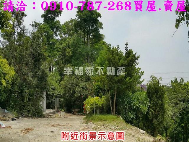 台南關廟農地-4