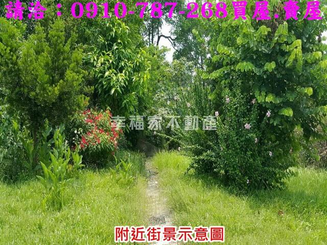 台南關廟農地-5