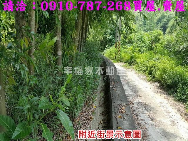 台南關廟農地-6