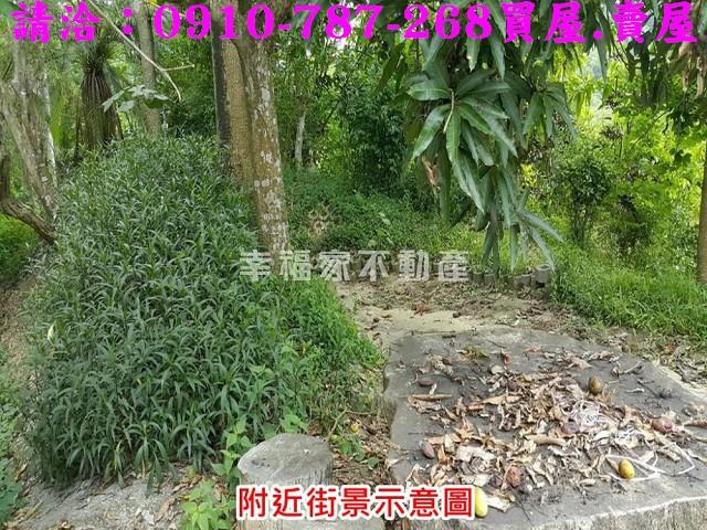 台南關廟農地-7