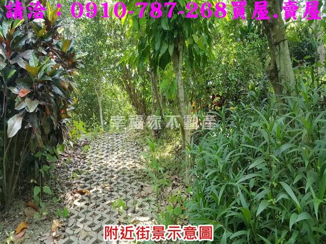 台南關廟農地-8