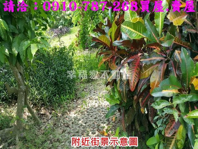 台南關廟農地-9